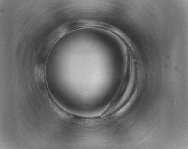 X0000077320857200610201201