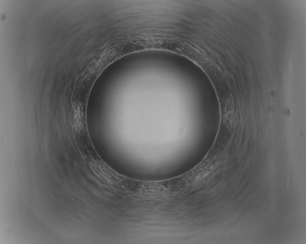 X0000077320866200610201200