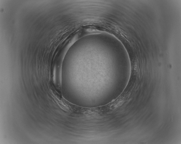 X0000077320868200610201200