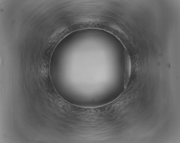 X0000077320869200610201200