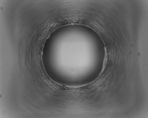 X0000077320961200610201159