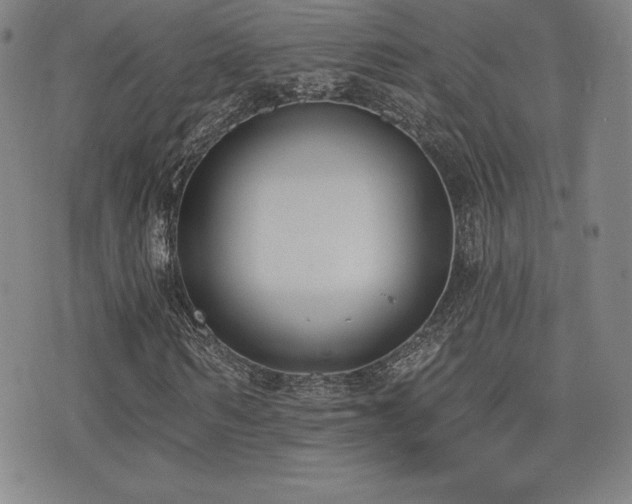 X0000077320962200610201159