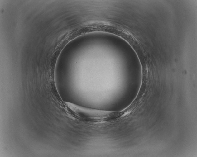 X0000077320965200610201159