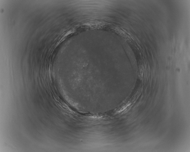 X0000077321010200610201157