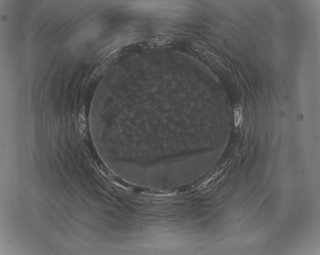 X0000077321011200610201157