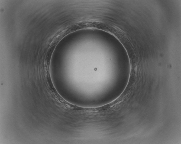 X0000077321014200610201157