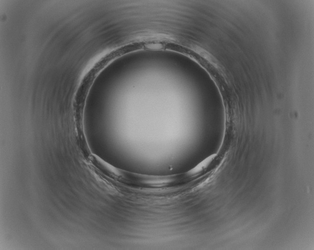 X0000077321022200610201157