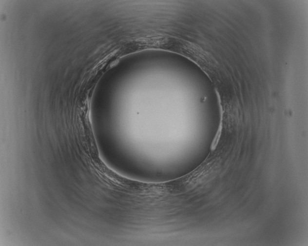 X0000077321058200610201157