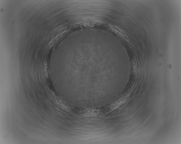 X0000077321060200610201157