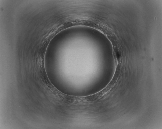 X0000077321061200610201157