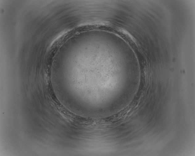 X0000077321064200610201157