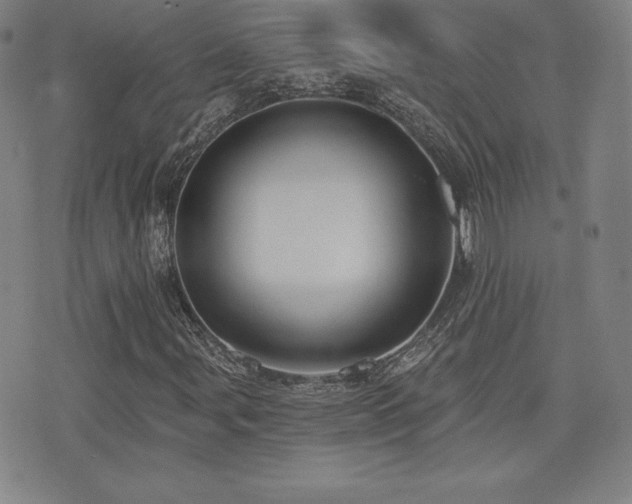 X0000077321107200610201156