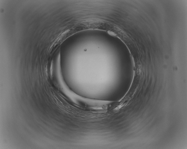 X0000077321108200610201156