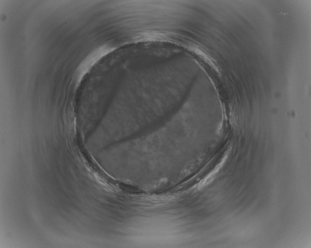 X0000077321117200610201156