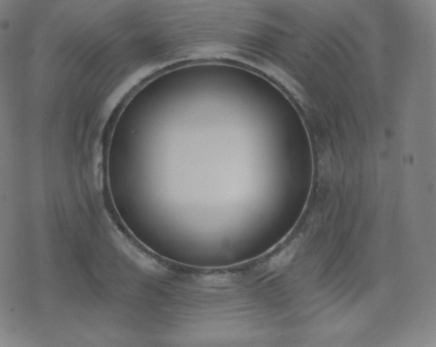 X0000077321126200610201156