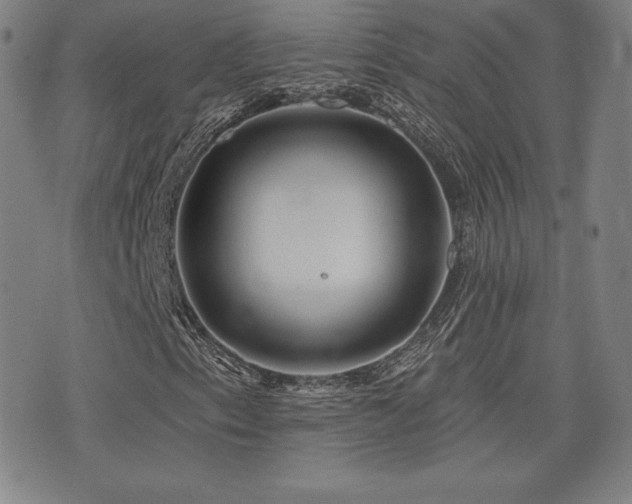 X0000077321153200610201156