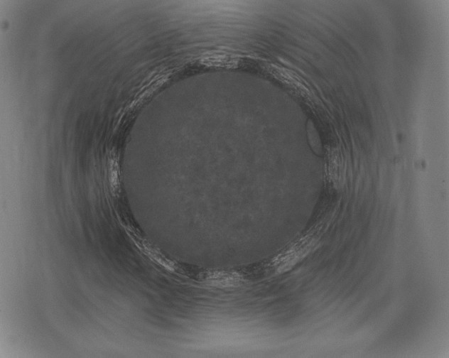 X0000077321154200610201156