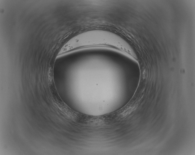 X0000077321156200610201155