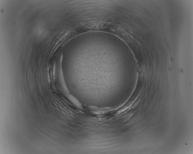 X0000077321202200610201154
