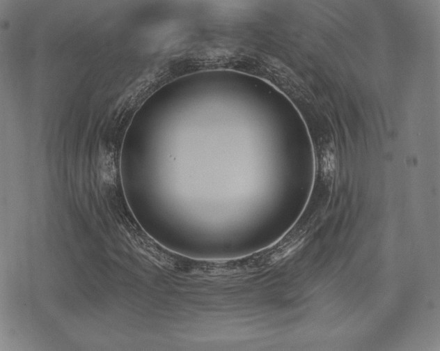 X0000077321204200610201154