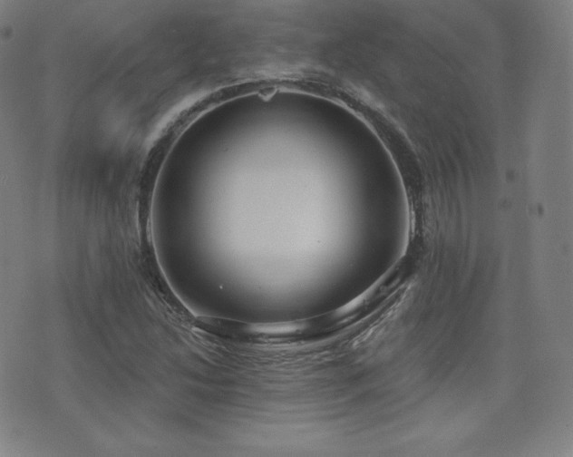 X0000077321214200610201154