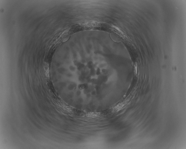 X0000077321251200610201154