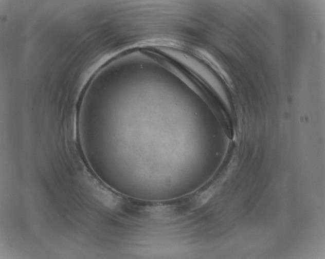 X0000077321276200610201154
