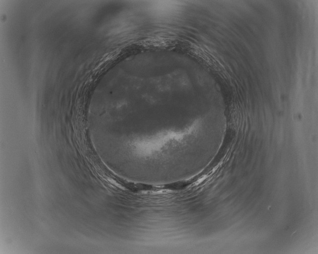 X0000077321297200610201152