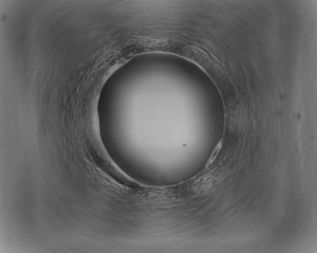 X0000077321345200610201152