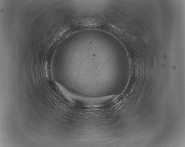 X0000077321394200610201151
