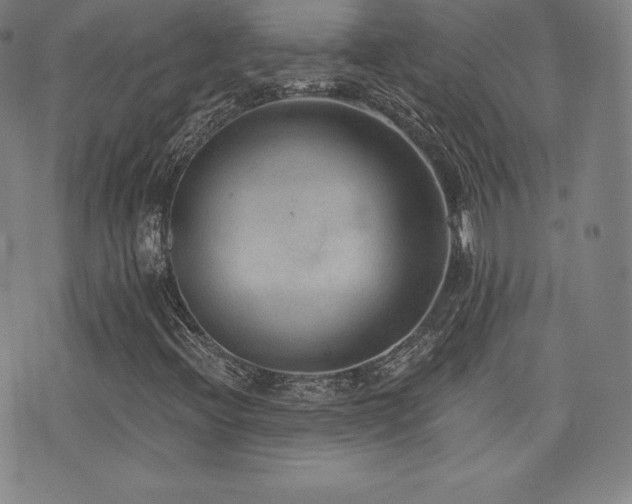X0000077321396200610201151