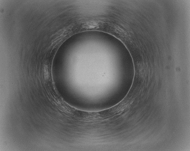 X0000077321442200610201151