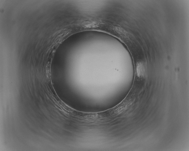 X0000077321444200610201151