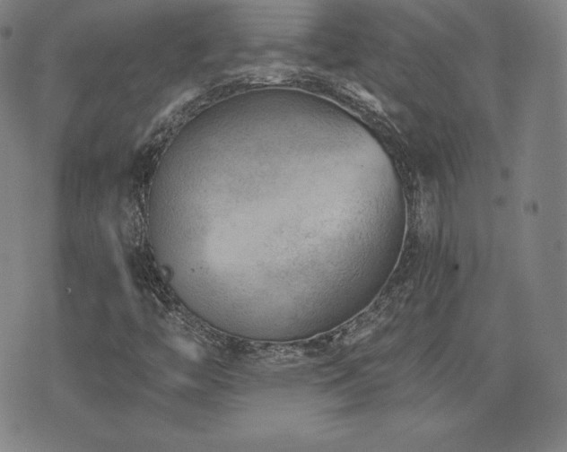 X0000077321446200610201151