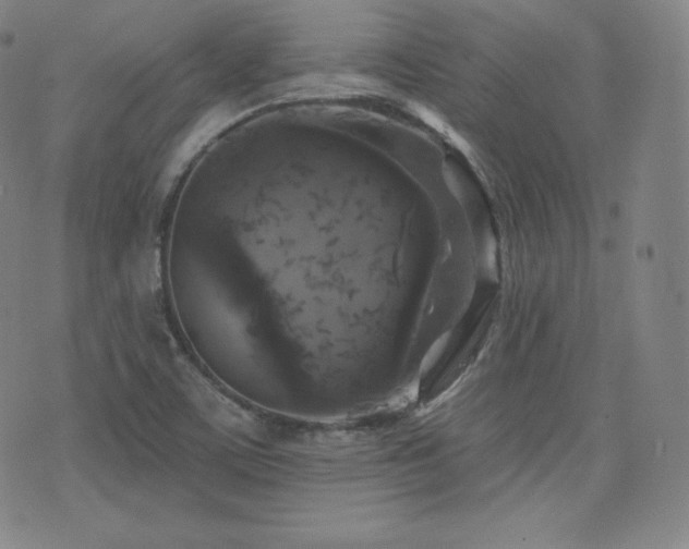 X0000077321459200610201151