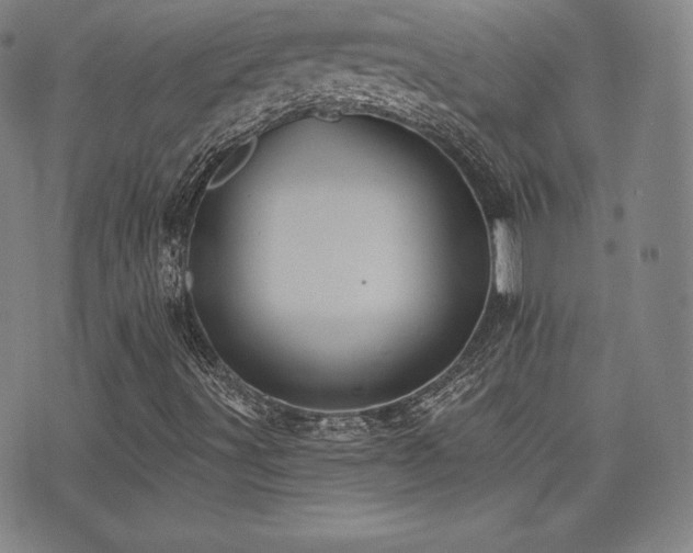 X0000077321491200610201149