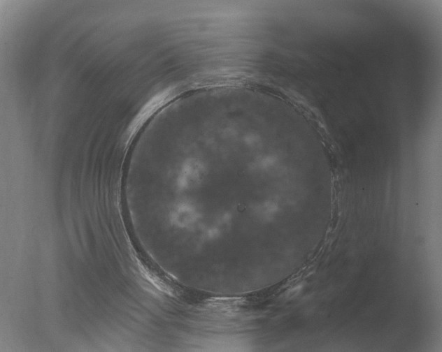 X0000077320051200610271721