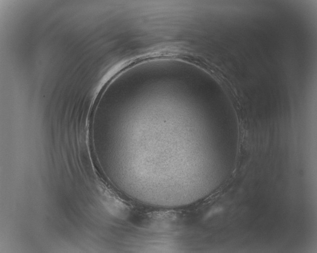 X0000077320100200610271721