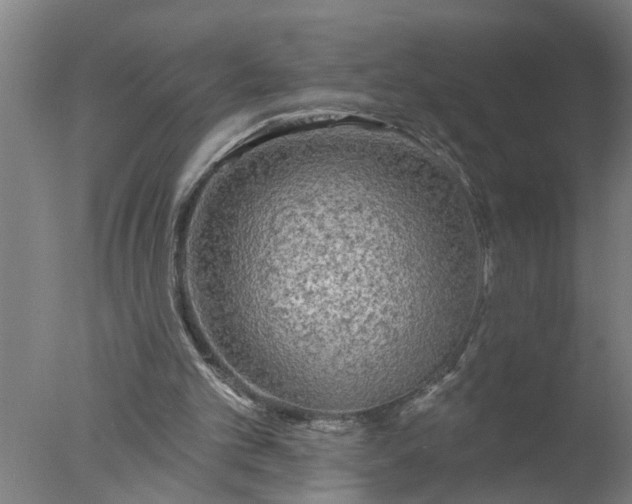 X0000077320101200610271721