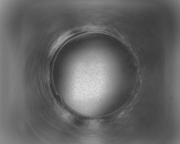 X0000077320103200610271721