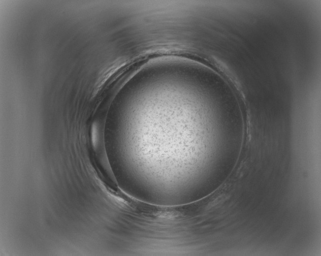 X0000077320105200610271721