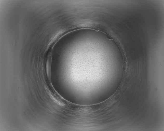 X0000077320106200610271721