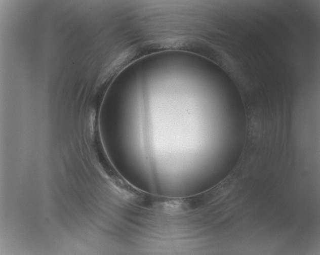 X0000077320118200610271720