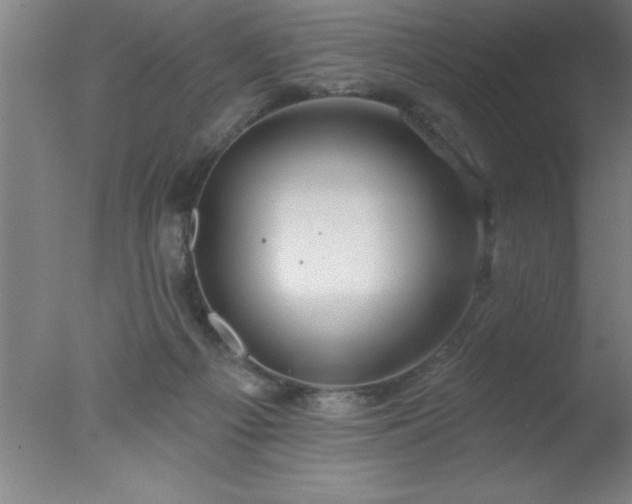 X0000077320121200610271720