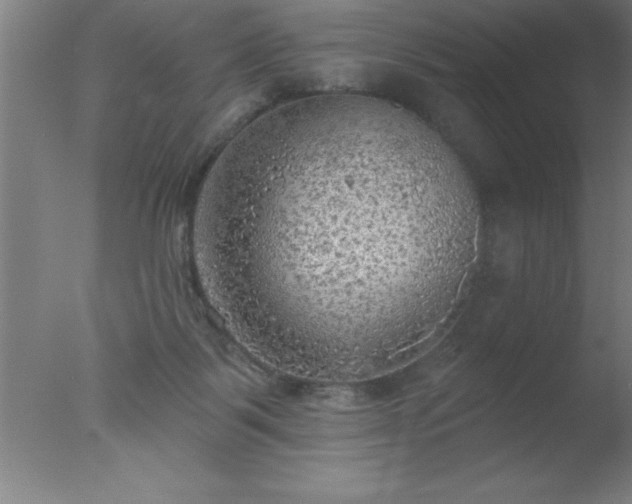 X0000077320123200610271720