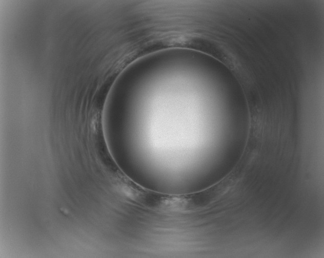 X0000077320125200610271720