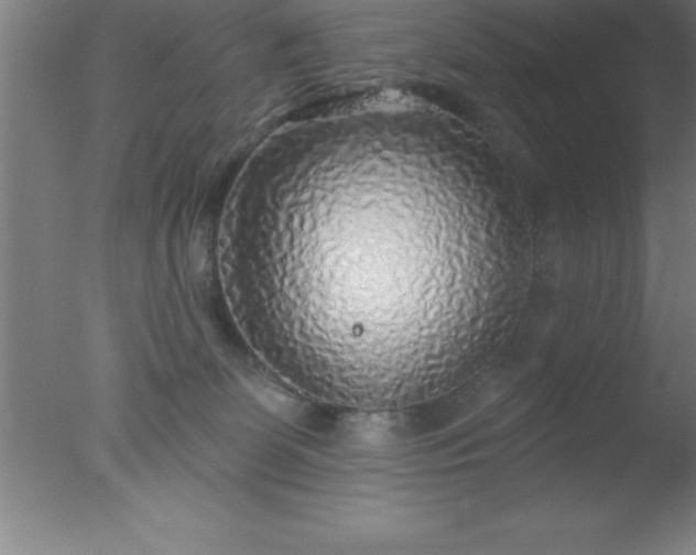 X0000077320131200610271720