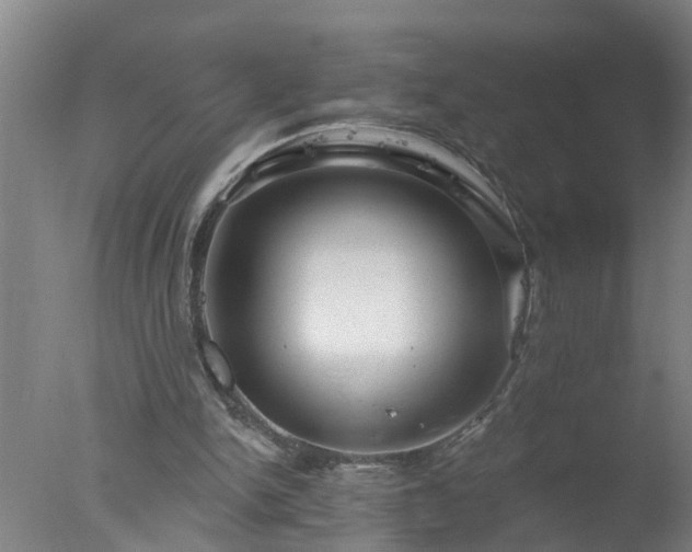 X0000077320150200610271719