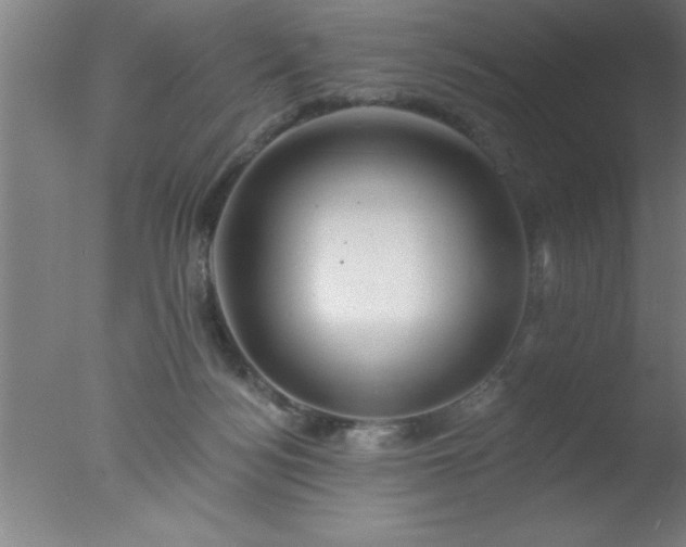 X0000077320172200610271720
