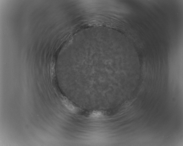 X0000077320177200610271720